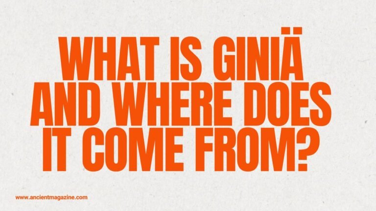 what is Giniä