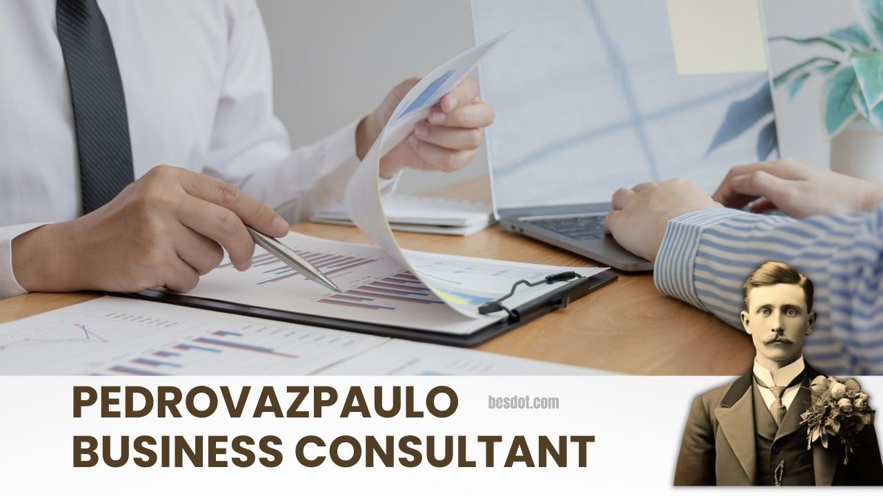 Pedrovazpaulo Business Consultant