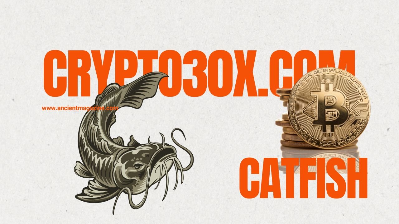crypto30x.com Catfish