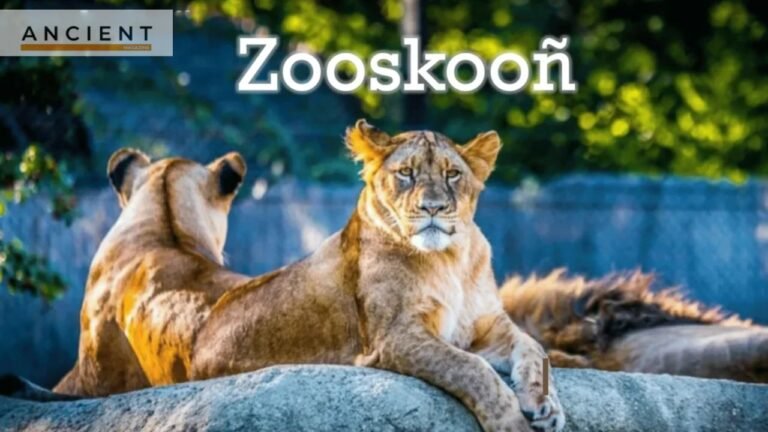 A Guide to zooskooñ